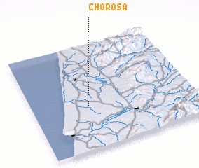 3d view of Chorosa