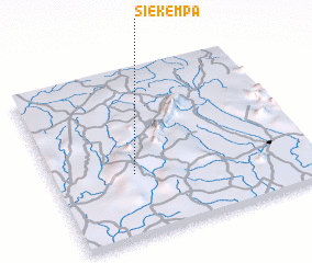 3d view of Siekempa