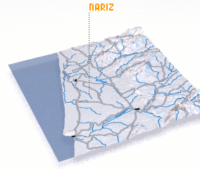 3d view of Nariz