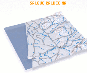 3d view of Salgueiral de Cima