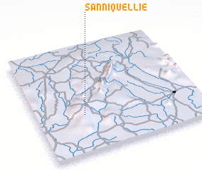 3d view of Sanniquellie