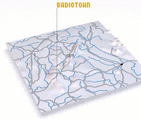 3d view of Badio Town