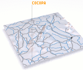 3d view of Cocopa