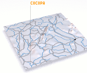 3d view of Cocopa