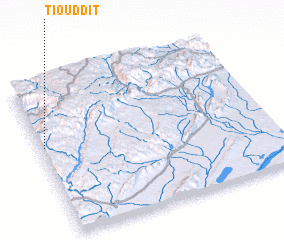 3d view of Tiouddit