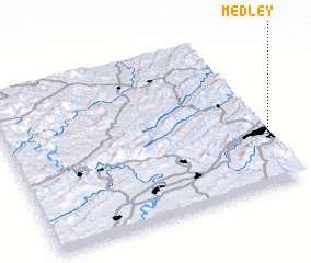 3d view of Medley