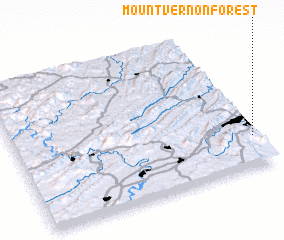 3d view of Mount Vernon Forest
