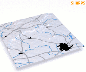 3d view of Sharps