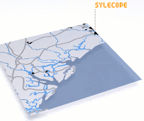 3d view of Sylecope