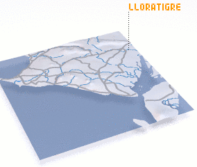 3d view of Llora Tigre