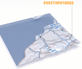 3d view of Puesto Puyango