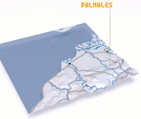 3d view of Palmales