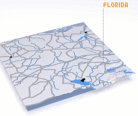 3d view of Florida