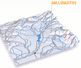 3d view of Gallinazitos