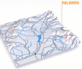 3d view of Palomino