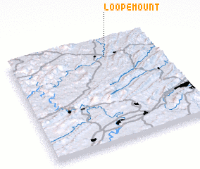 3d view of Loopemount