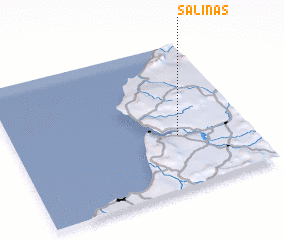 3d view of Salinas