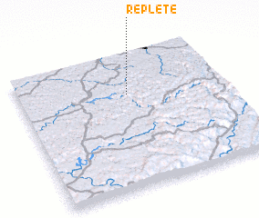 3d view of Replete