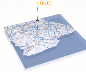 3d view of Leales