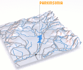 3d view of Parkinsonia