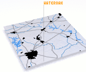 3d view of Water Oak