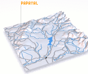 3d view of Papayal