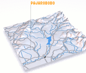 3d view of Pájaro Bobo