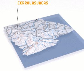 3d view of Cerro Las Vacas