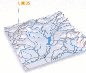 3d view of Lobos