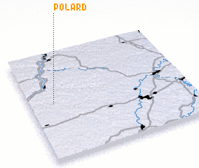 3d view of Polard