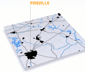 3d view of Pineville