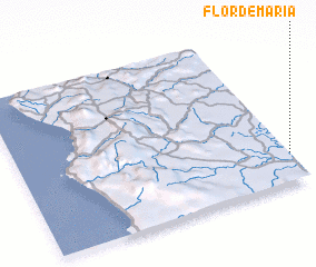 3d view of Flor de María