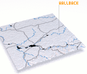 3d view of Wallback