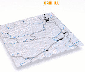 3d view of Oak Hill