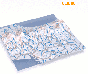 3d view of Ceibal