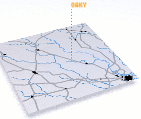 3d view of Oaky