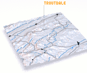 3d view of Trout Dale