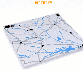 3d view of Pinckney