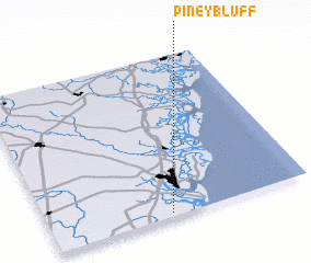 3d view of Piney Bluff