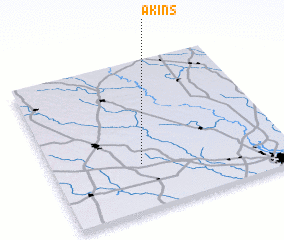 3d view of Akins