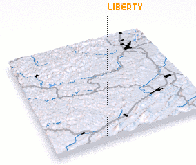 3d view of Liberty