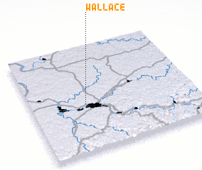 3d view of Wallace