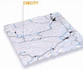 3d view of Cub City