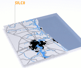 3d view of Silco