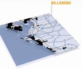 3d view of Willow Oak