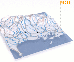 3d view of Peces