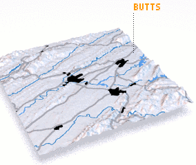 3d view of Butts