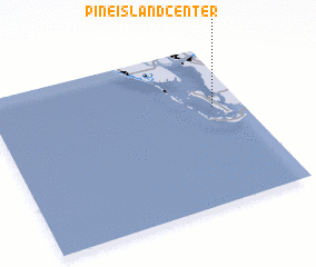 3d view of Pine Island Center