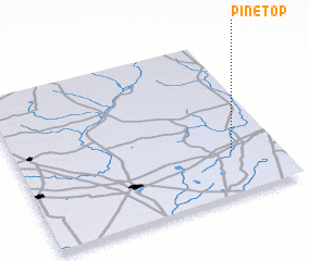 3d view of Pine Top