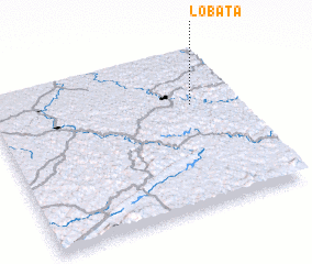 3d view of Lobata